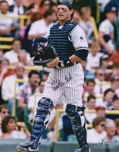 Carlton Fisk Chicago White Sox Autographed 16" x 20" In Catchers Gear Photograph - Fanatics Authentic Certified