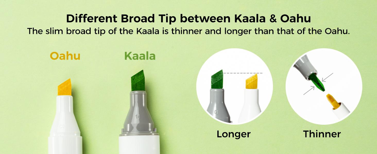 Ohuhu Alcohol Markers Double Tipped: Slim Broad & Fine - 60 Colors - Art Marker for Artists Adult Coloring Drawing Landscape Sketch - Refillable - Kaala Series of Ohuhuart