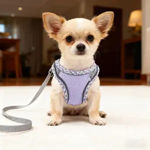 Pet Dog Chest Harness Leash Set, Walking Harness, Reflective Night Design for Safety, Outdoor Use Day or Night, Comfortable Fit for Dogs