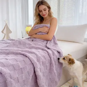 Comfortable Summer Blanket, High Aesthetic, Elegant and Versatile, Soft Plush, Durable Anti-Scratch, Multiple Colors Available, Lightweight Summer Blanket, Fluffy Blanket