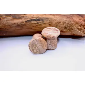 Natural Picture Jasper Stone Single Flare Plugs-Gauges, Lightweight with Polished Surface & Landscape Bands, for Stretched Ears Everyday Wear