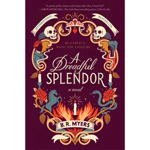 A Dreadful Splendor: A Novel by B.R. Myers [Paperback Book]