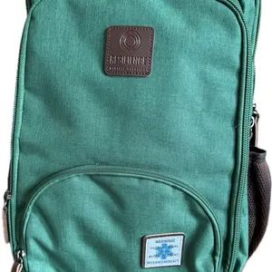 The  Influencer Backpack 2.0 green