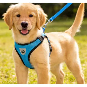 Dog Harness Leash with Reflective Mesh Fabric Pet Collar Breathable Chest Harness for Outdoor Walking Vest-style Dog Leash