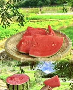 50 rare watermelon seeds, with thin skins and easy growth, are the first choice for beginners