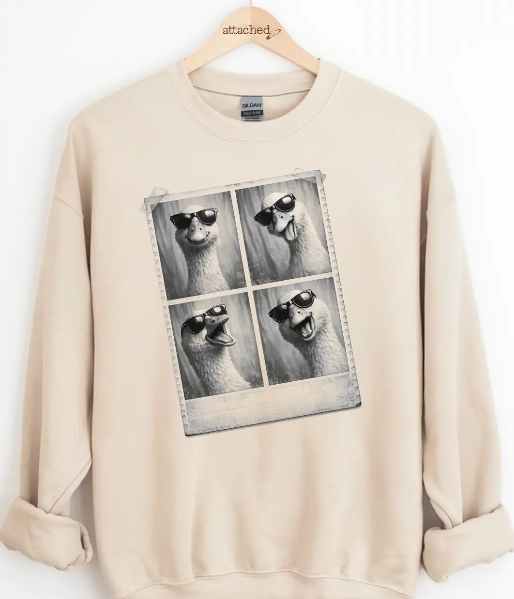 Silly Goose Photobooth Graphic Top