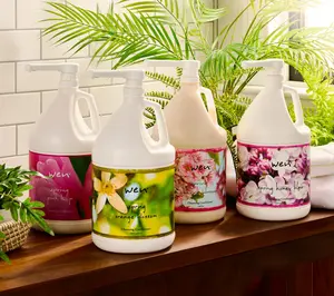 QVC WEN by Chaz Dean 1-Gal Seasonal Hair Cleansing Conditioner, Beauty & Personal Care Haircare Product