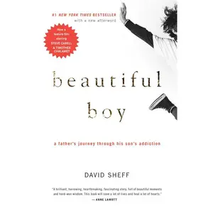Beautiful Boy: A Father's Journey Through His Son's Addiction by David Sheff [Paperback Book]