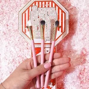 P.Louise Santa Please Stop Here Mini Brushes