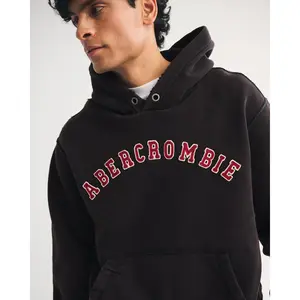Abercrombie & Fitch logo popover hoodie