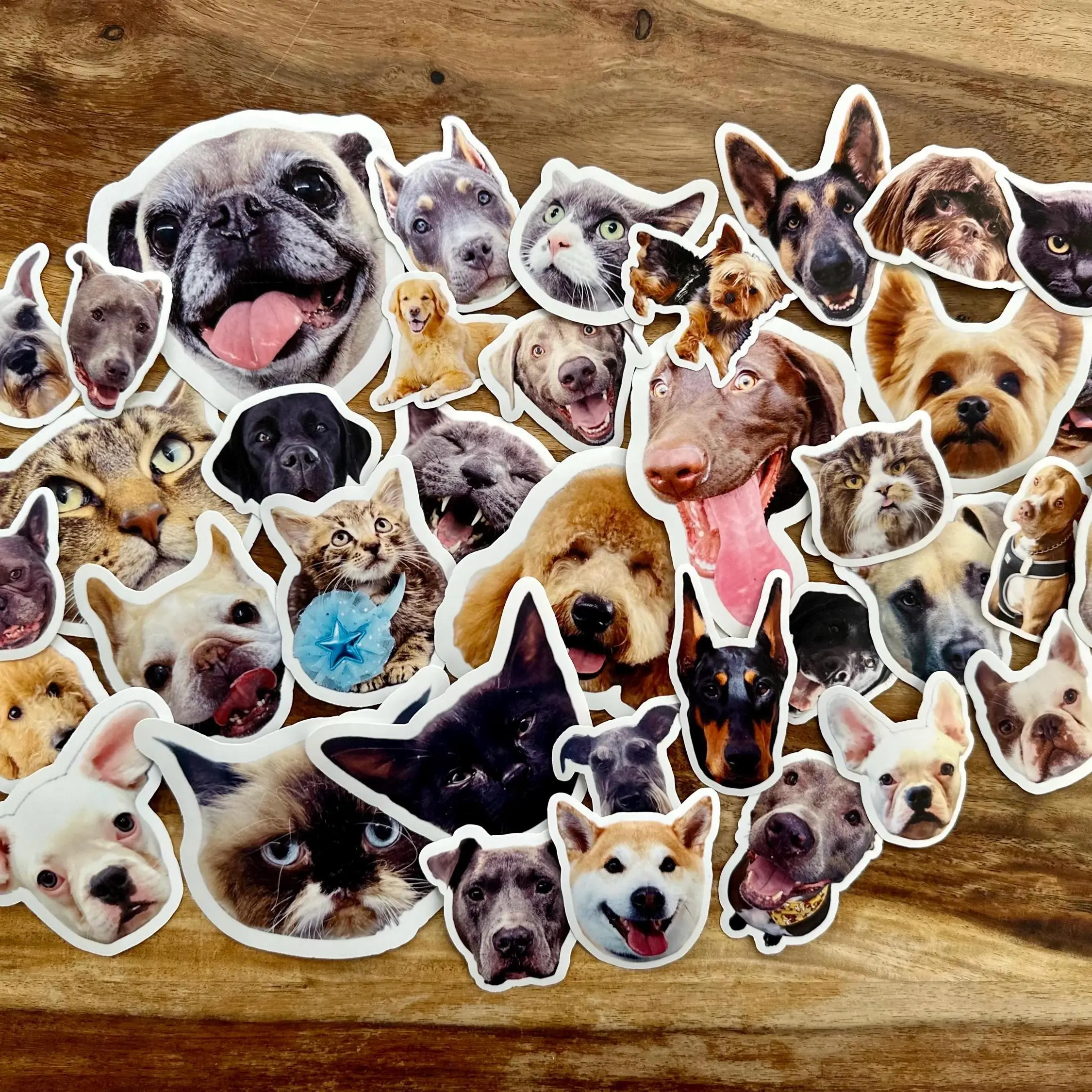 5 Pet Stickers, Dog Stickers, Cat Stickers, Water Resistant Stickers, Pet Photo Sticker