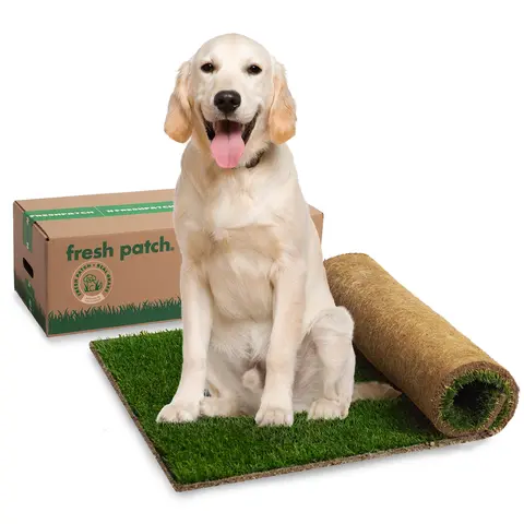 Fresh Patch Real Grass XL (24" x 48")