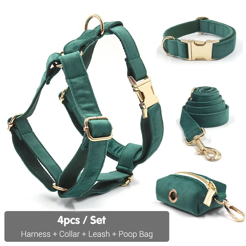 Harness Collar Set