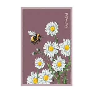 Daisy White Flower Seeds Packet