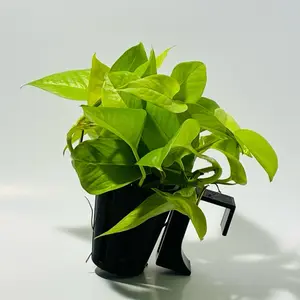 Hang-on-back Aquarium Planter | Adjustable Height