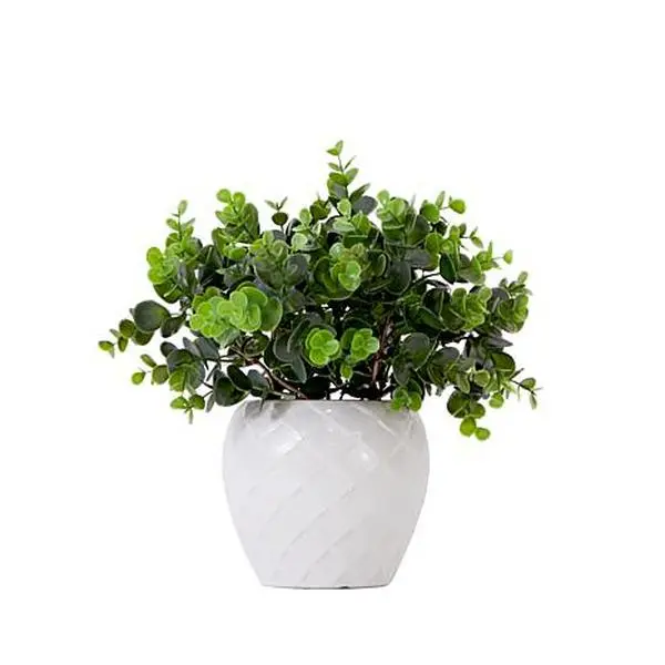 Nearly Natural 11 in. Artificial Boxwood Plant with Planter Nearly Natural 11 in. Artificial Boxwood Plant with Planter