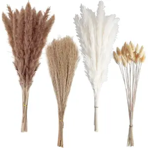 100-Pack 17" Natural Dried Boho Pampas Grass - Nature Decorative Faux Flowers, Fake Flower Arrangement for Wedding & Table Home Decor (Brown/White)