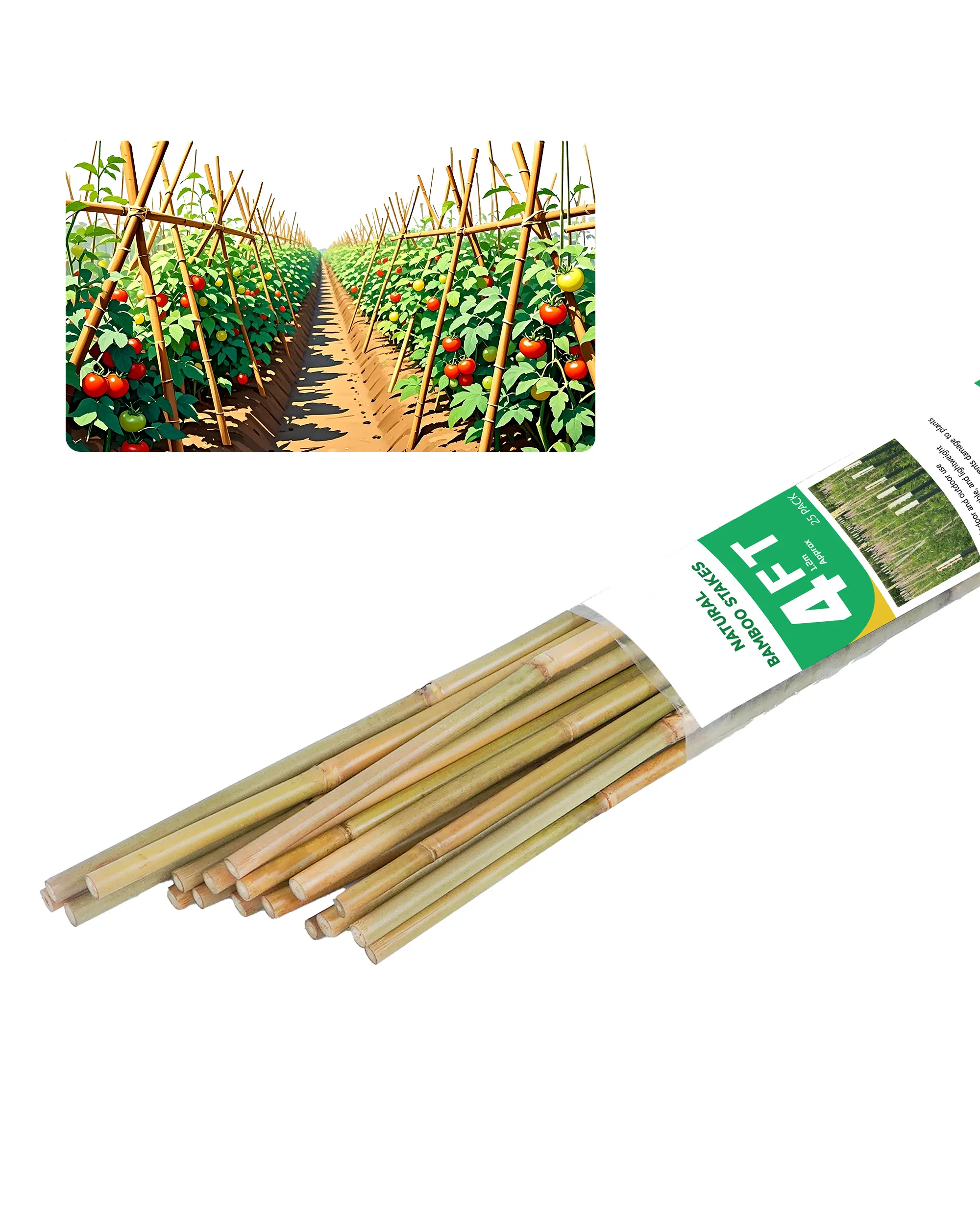 4FT Bamboo Stakes 25 Pack – Natural Plant Support Sticks for Garden, Tomatoes, Beans & Flowers Peppers Vegetables