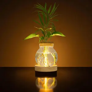 Plant Propagation Station with Wooden Saucer, Glass Terrarium with Stepless Dimming Function Glass Container Vase Jars Gardening Gifts for Mom Women Plant Lovers