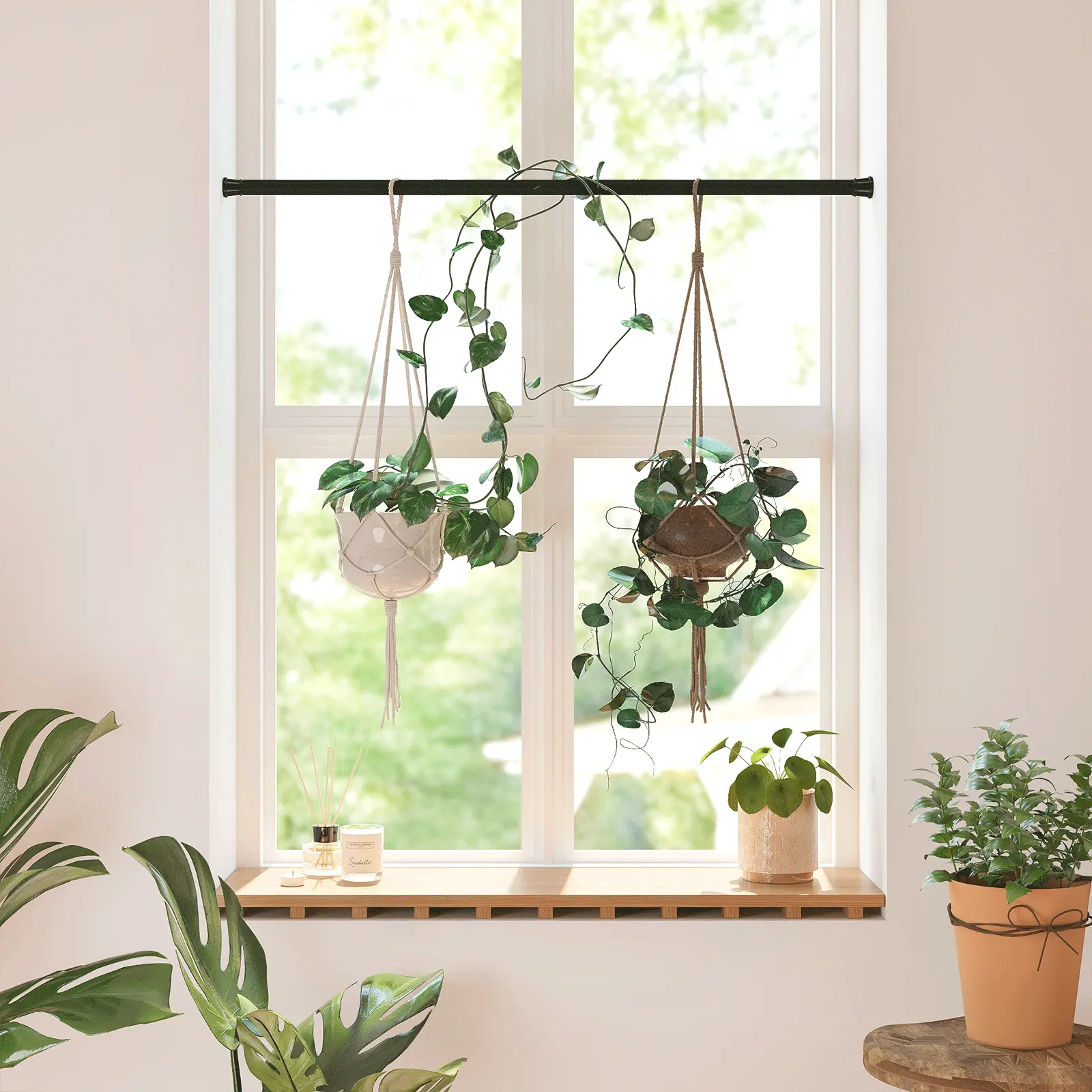 Bamworld Adjustable Window Plant Hanger - Indoor Hanging Planter with 27"-51" No-Drilling Spring Tension Rods, Black Expandable Garden Accessory for Indoor, Balcony Decorating, Outdoor Use, Easy to Move Hanging Baskets