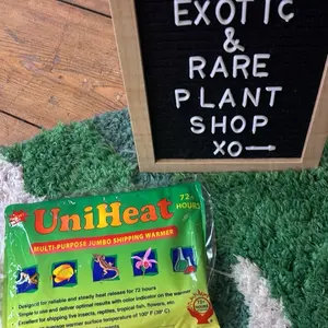 UniHeat Shipping Warmer