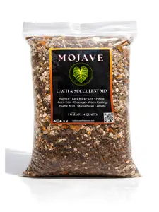 Mojave | Desert Grit Cacti & Succulent Mix