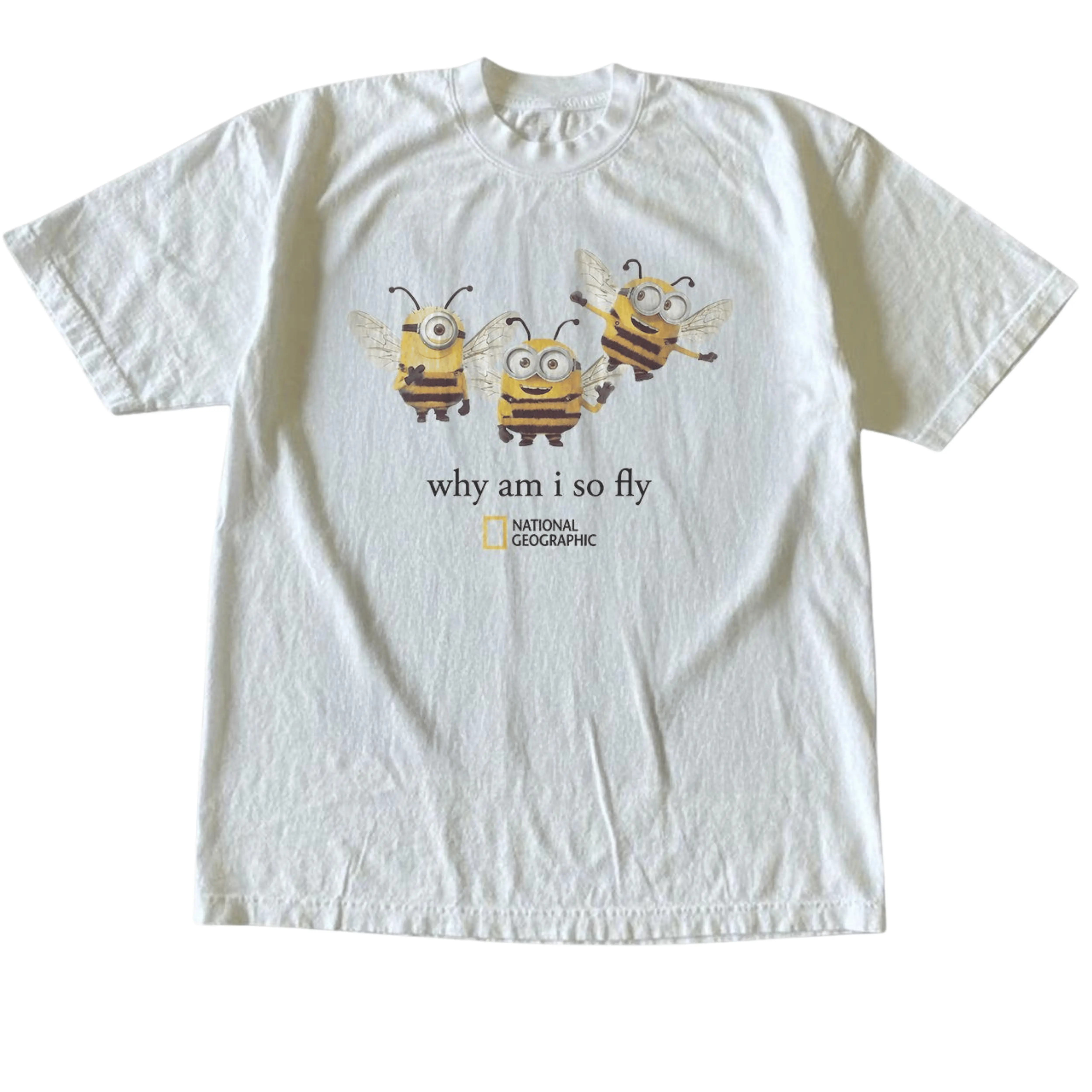 Gildan Men's and Women's T-Shirt, Vintage Style National Geographic "Why Am I So Fly" Bee Graphic Tee, Unisex Casual Top, Funny Bumblebee Minion Shirt, Cute Animal Meme Clothing, Matching Couples Outfits, Unique Birthday Present, Premium Cotton