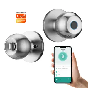 3-in-1 Keyless Biometric Door Knob Lock - Metal Fingerprint Door Handle with App Control, Local Data Storage, USB Power, Electronic Keypad for Home, Apartment Hardware & Security Needs, Biometric Door Knobs