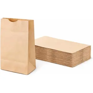 Brown Bag 2-100 count, 2lb Brown Paper Bags - Brown Bags - 100 count (Pack of 1)