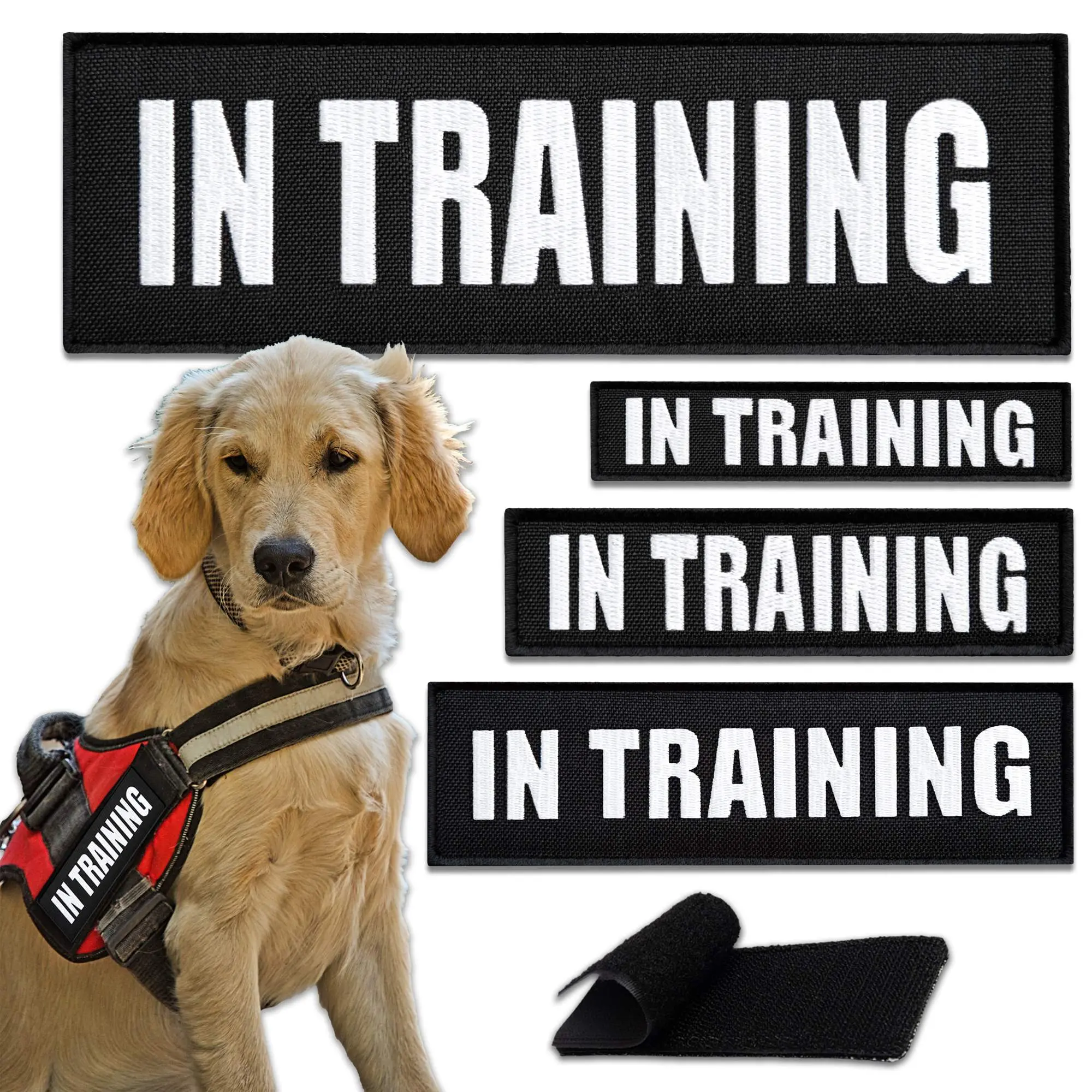 4-Pcs IN TRAINING Patch for Service Dogs, Embroidered Patch Hook & Loop Set