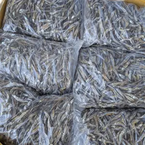 Dagaa dry