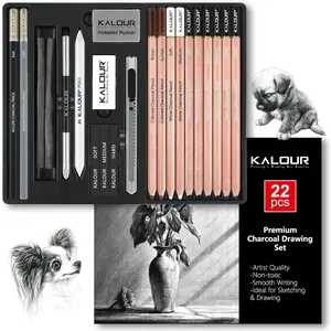22pcs Charcoal Drawing Set, Professional Art Supplies, Black & White Charcoal Pencils for Drawing, Sketching, Shading, Blending, Artist Pencils for Beginners & Pro Artists