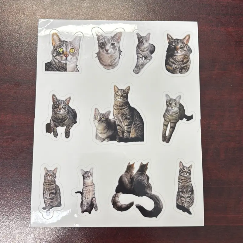 Pickles and Olive Stickers - Featuring Cat Images - Decorative Stickers
