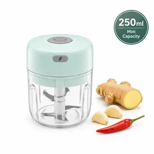 Mini Electric Kitchen Chopper, 250ml USB Rechargeable Portable Veggie Chopper for Garlic, Ginger, Chili, Kitchen Choppers