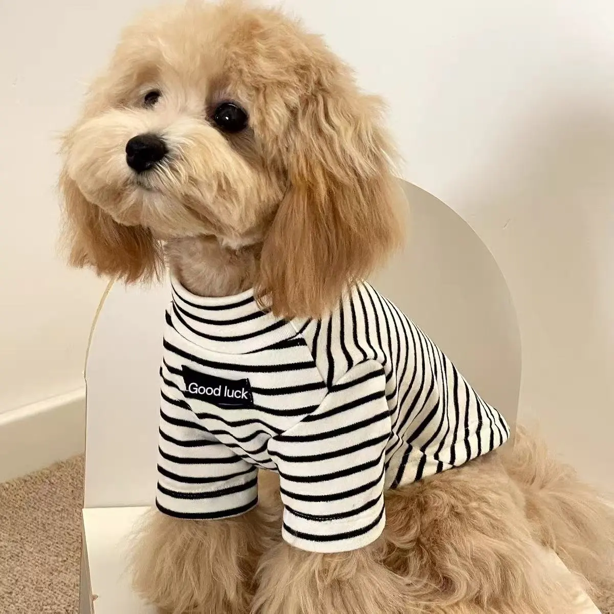 Fashion Pet Warm Clothes Striped High Neck Sweater for Small Dogs, Puppy, Autumn Winter Dog Apparel Clothing for Maltese Bichon Yorkie Teddy Schnauzer, Husky Clothes