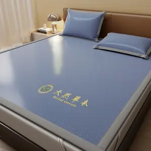 Luxury Washable Summer Cooling Mattress Pad, Instant Cool Foldable Mat, Suitable for Bedroom, RV, Japanese Tatami, Student Dormitory