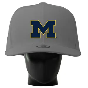 Michigan Wolverines Noggin