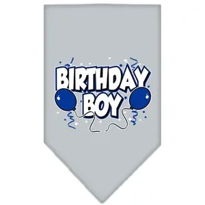Grey Birthday Boy Bandana