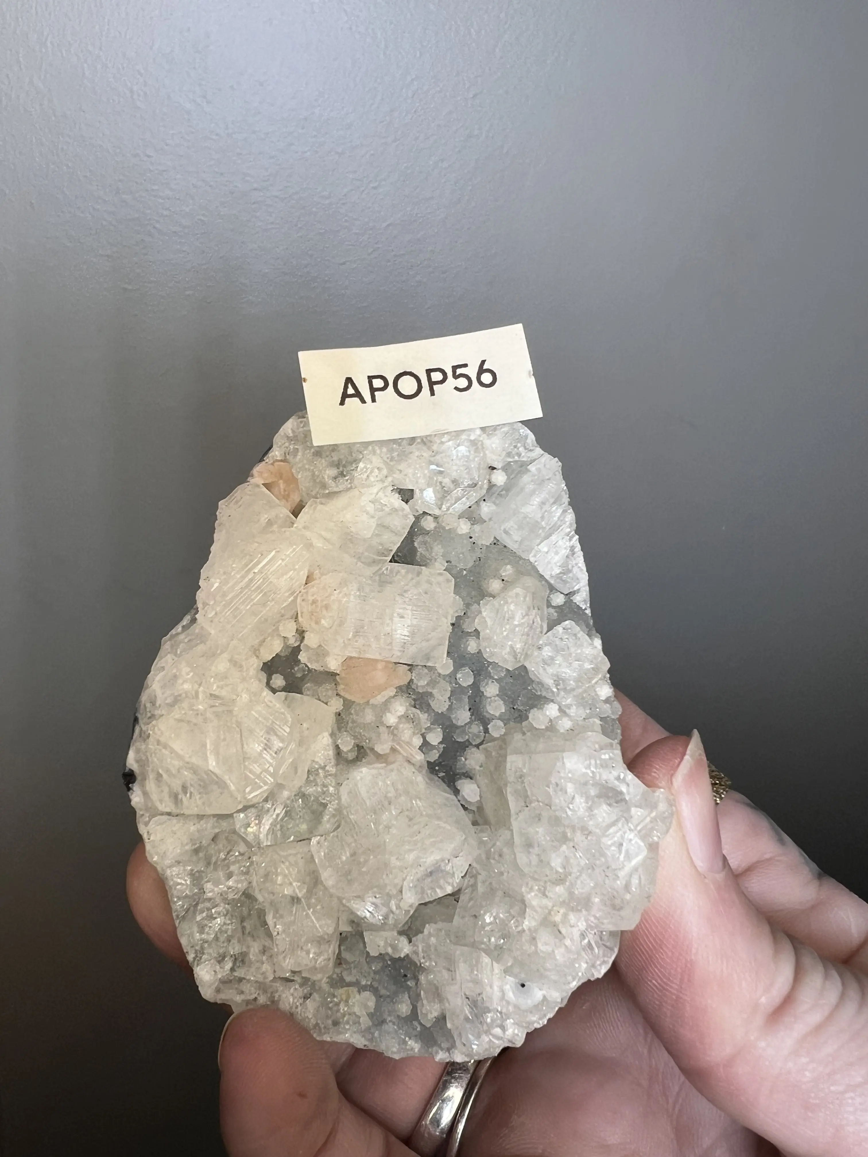 Apophyllite with Blue Chalcedony Matrix - India