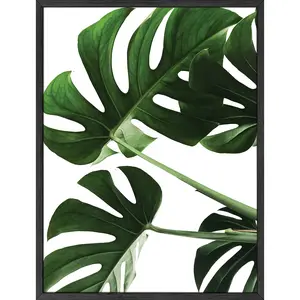 Monstera Leaf Poster - Artistic Wall Decor Print for Room Aesthetic and Vibe