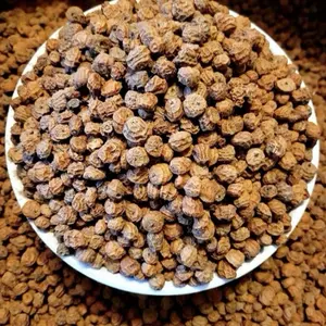 Raw Tigernuts, 1.5LB Natural Plant-Based Gluten-Free Snack