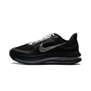 Air Zoom Pegasus Premium SP "Black Metallic Silver" IH4369001