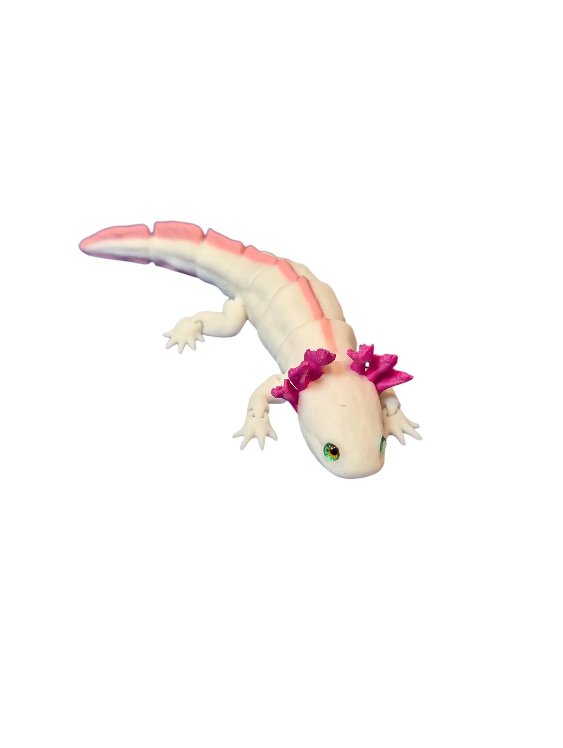 Axolotl (Albino)