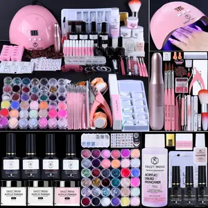 Professional Nail Art Tool Set, 1 Set Nail Art Tool with UV Light Nail Lamp, Nail Art Kit for Beginners, Nail Art Supplies for Home & Salon Use, Nail Polish