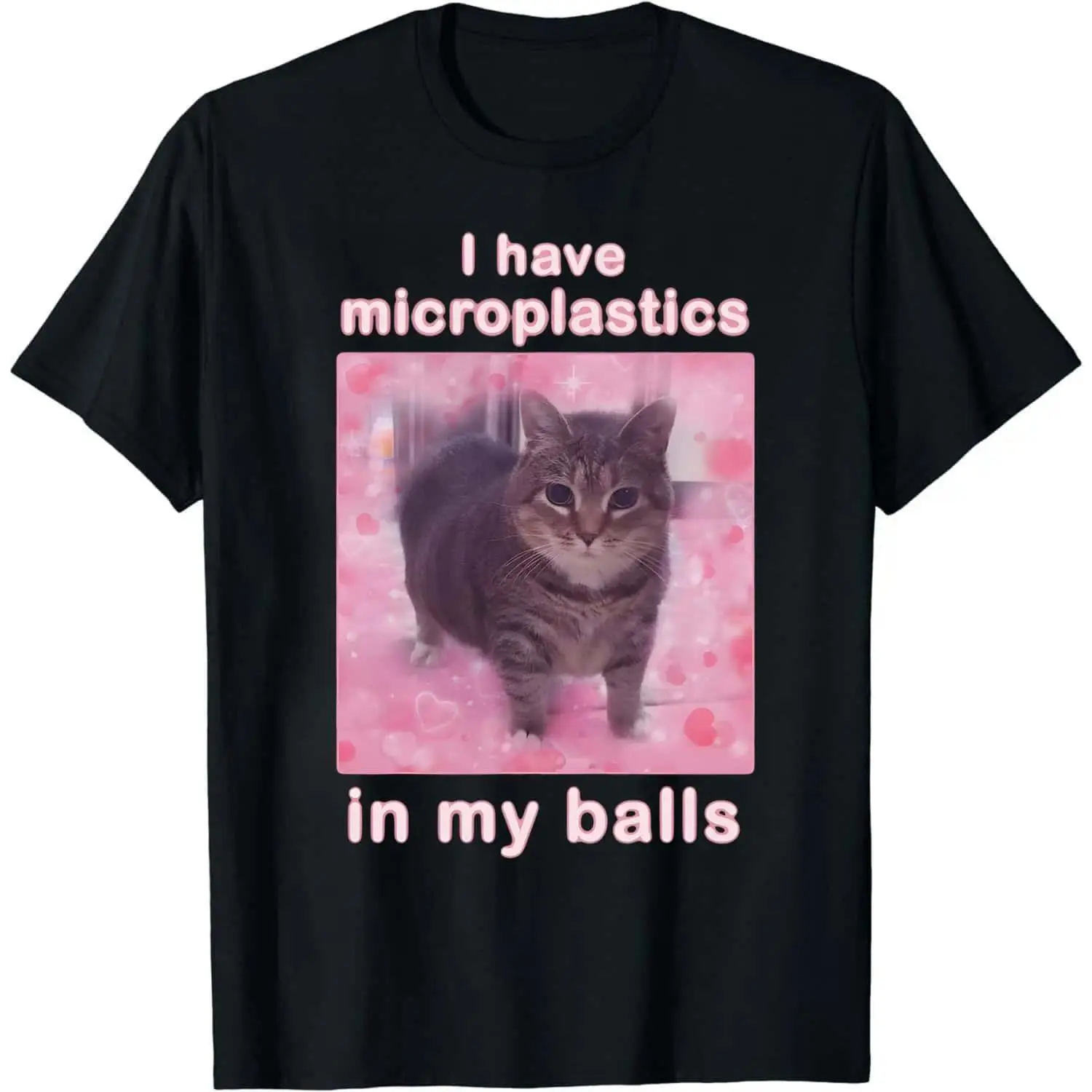 I Have Microplastics in my Balls Funny Cat Meme T-shirt, Gift for Woman, Ironic Cats Shirt, Stupid Silly Gifts, Goofy Ahh Cat Tee Shirt Gift Womenswear Prints 0704D 818