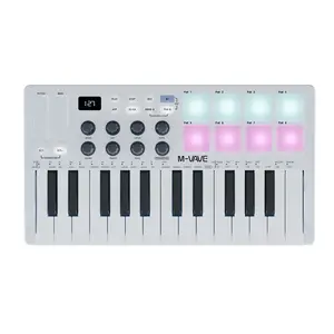 SMK-25 25-Key MIDI Keyboard Controller for Music Production