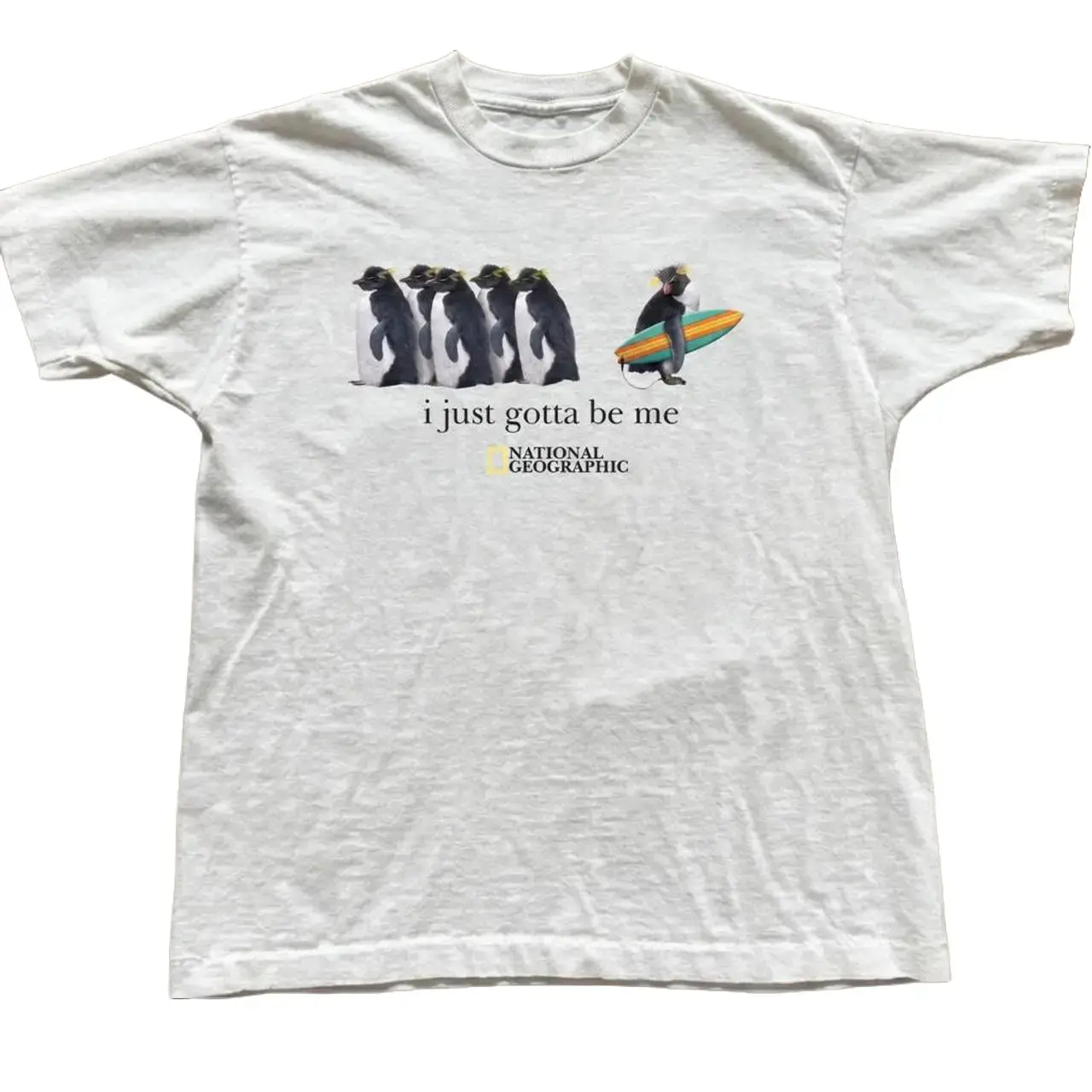 National Geographic I Just Gotta Be Me Penguin Graphic Tshirt National Geographic I Just Gotta Be Me Penguin Graphic Tshirt