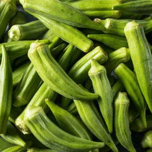 Okra Seeds