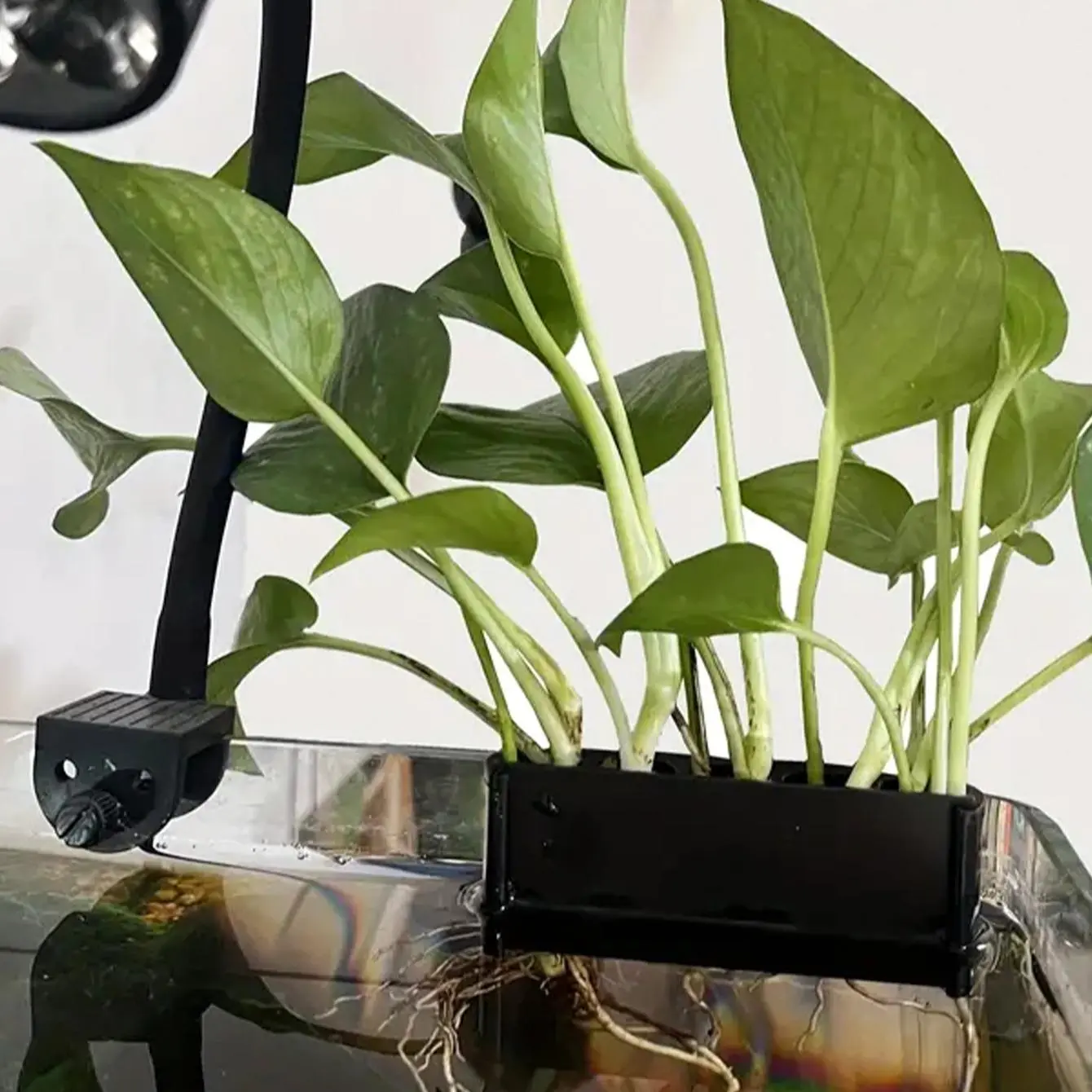 Hanging Fish Tank Plant Holder, Multi-hole Water Cultivation Plant Support, Fish Tank Plant Storage Rack, Aquarium Supplies, Aquarium Accessories, Grow, Unique Design