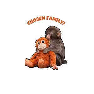 Glossy Finish Baby Monkey Kiss-Cut Stickers with Plush Toy Accent, Durable Vinyl Family Quote Stickers with Acrylic Adhesive for DIY Scrapbooking & Stamping Projects